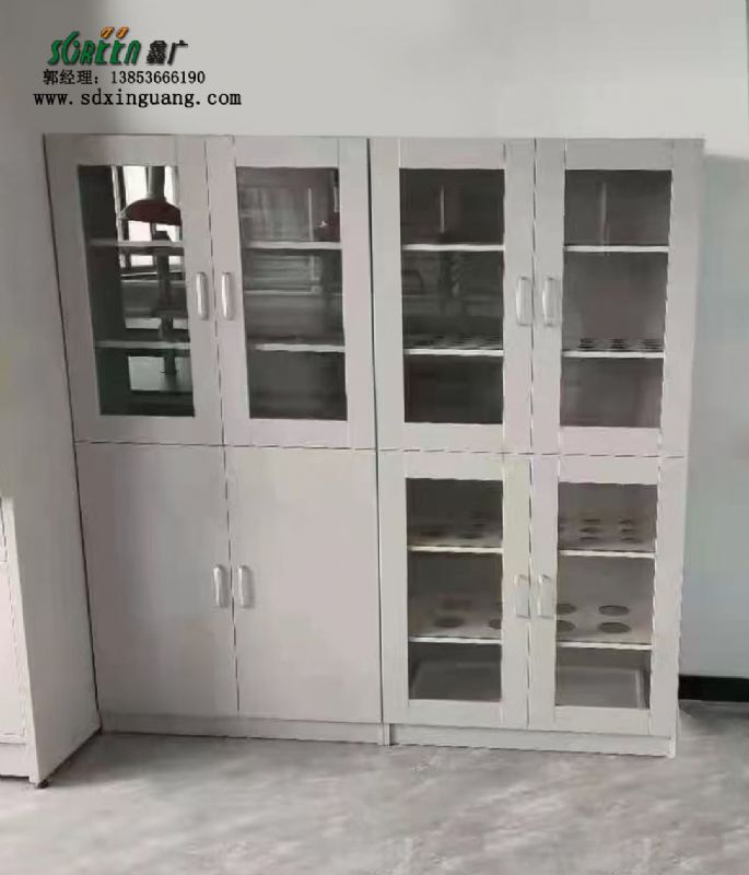 山東實(shí)驗(yàn)臺實(shí)驗(yàn)室試劑藥品柜存儲(chǔ)柜全鋼器皿柜